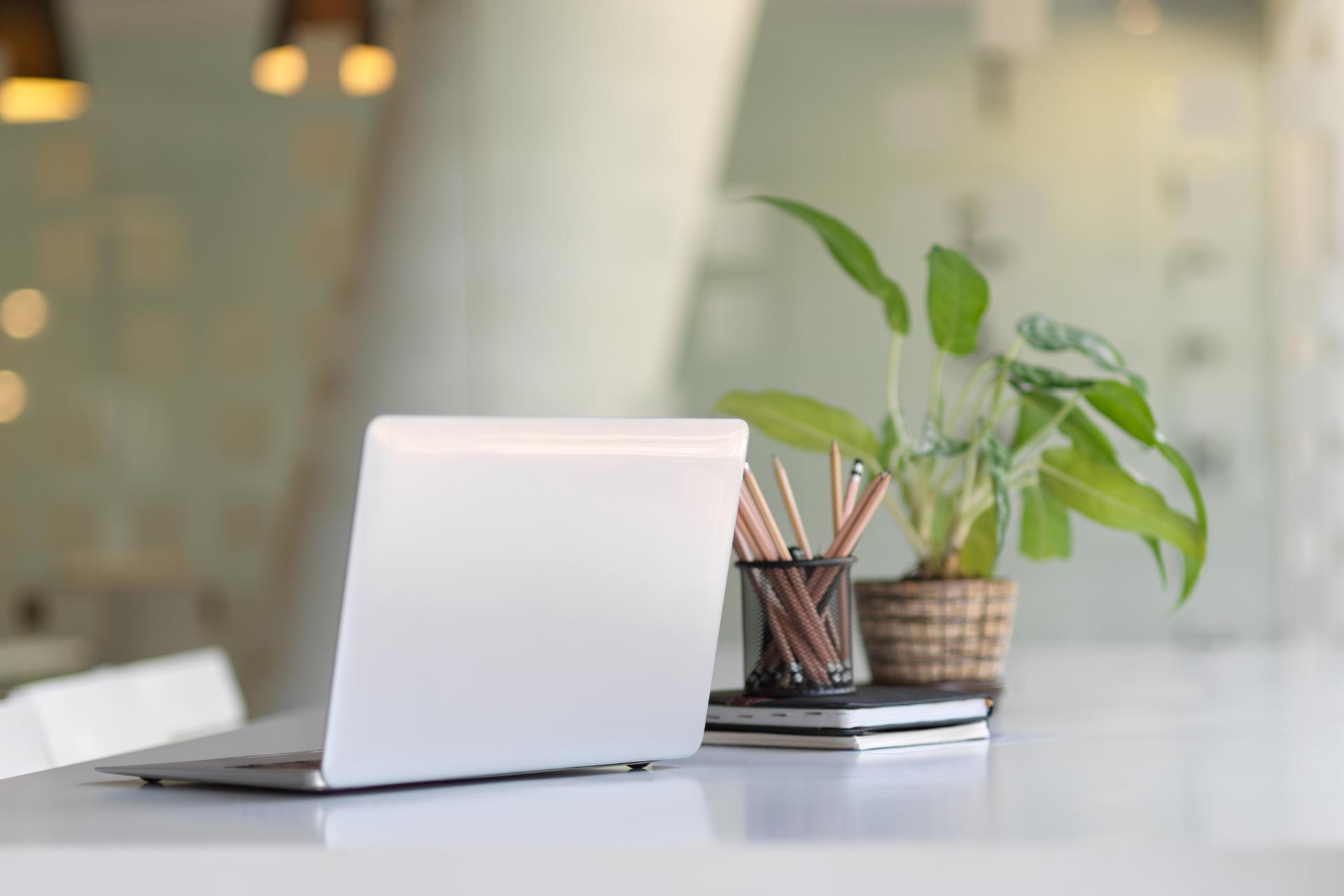 Laptop auf einem wei&szlig;en Schreibtisch neben einem Topf mit gr&uuml;nen Pflanze und einem Beh&auml;lter mit Stiften.